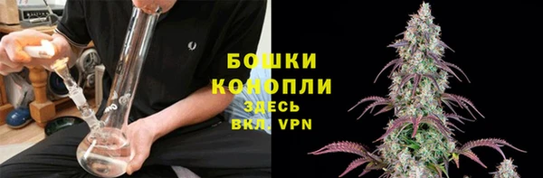 прущие крисы Щучье