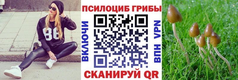 Галлюциногенные грибы GOLDEN TEACHER  дарнет шоп  Берёзовский 